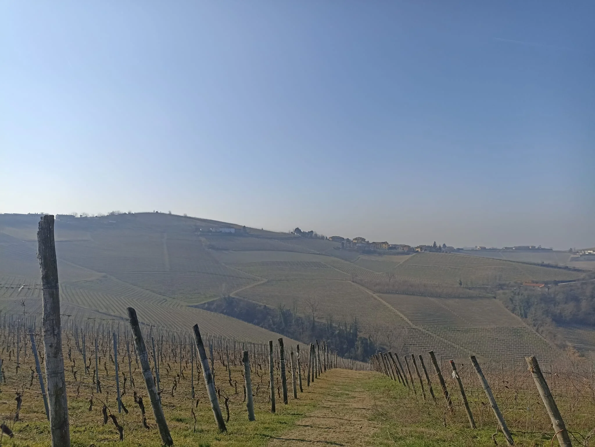 Vignobles italiens